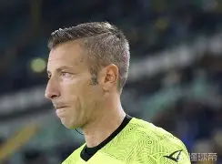 多米全站APP-亚伦布什内尔视频完整